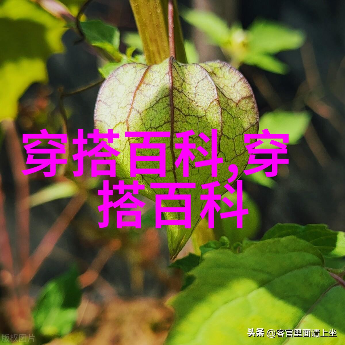肩垫大袖风格上衣与高腰牛仔裤搭配