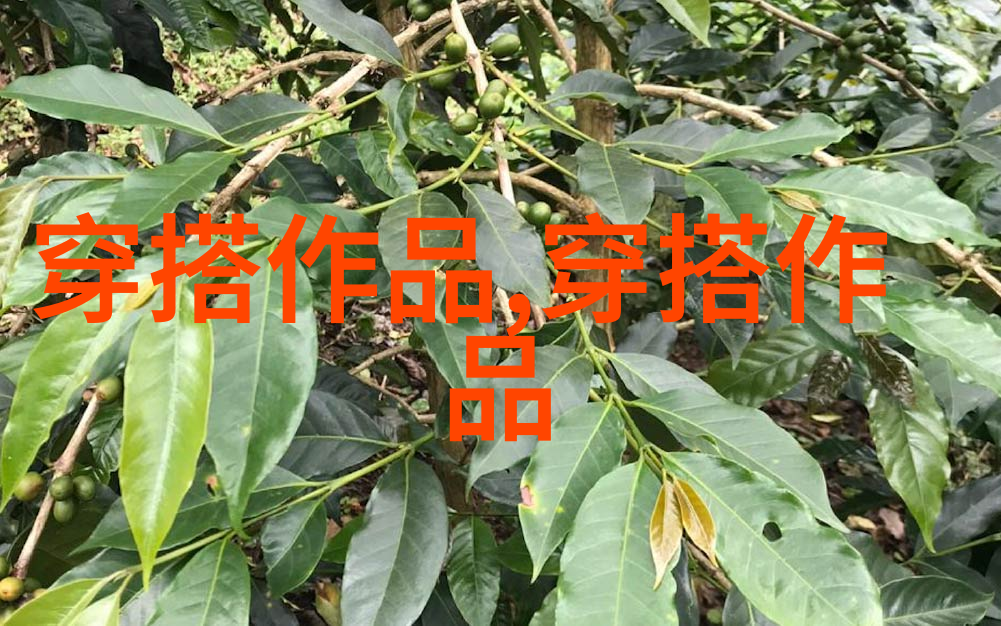 高端奢华系列