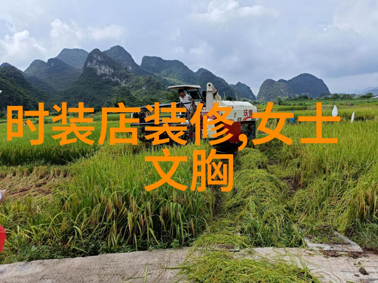 图1:简约风格