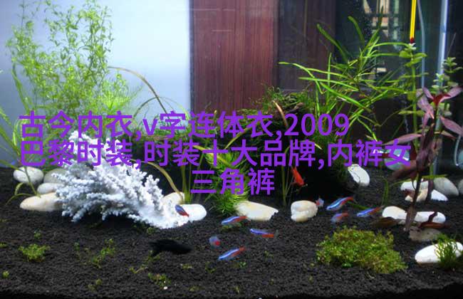 凯莉·穆里根简约波浪卷