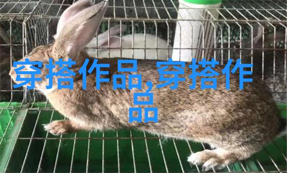 海滩派对