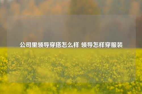 公司里领导穿搭怎么样 领导怎样穿服装